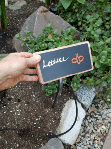 chalkboard-sign-lettuce-2