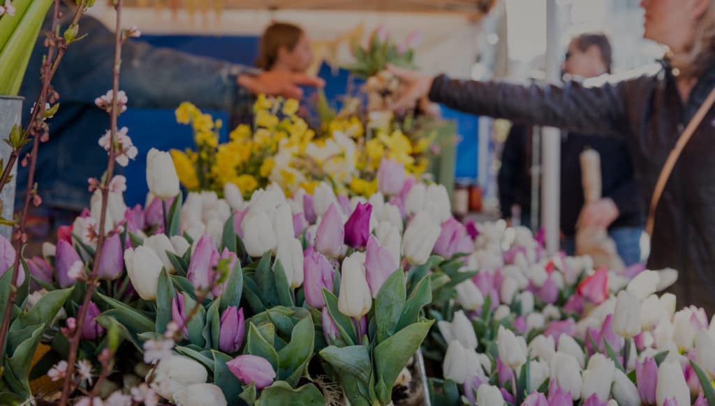 farmers-market-main